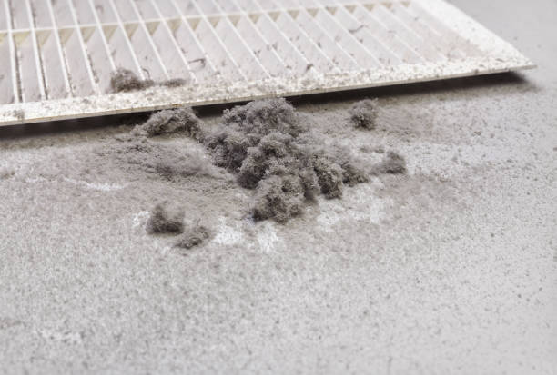 Best Residential Air Duct Cleaning  in Elkton, VA