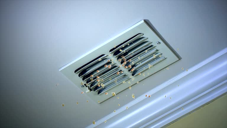 Best Affordable Duct Cleaning Services  in Elkton, VA