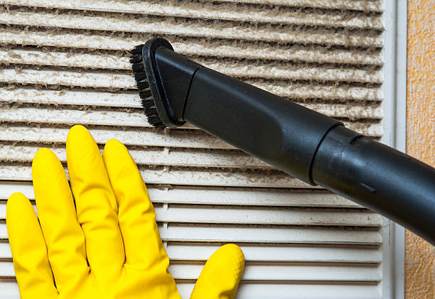 Best Commercial Air Duct Cleaning  in Elkton, VA